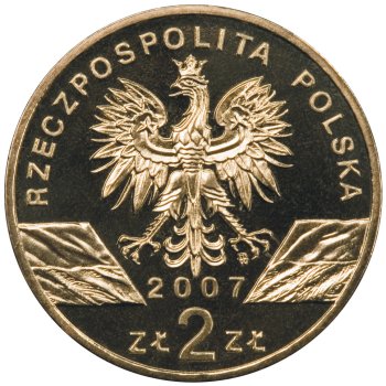 2 zł, Zwierzęta świata - Foka szara (łac. Halichoerus grypus), 2007