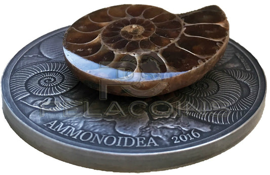 Burkina Faso 2016 1000 Francs World of Evolution - Ammonite 1oz