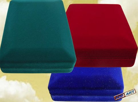 Etui na monetę ogradowaną o nominale 10 zł, 20 zł lub klipę