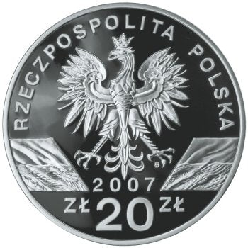 20 zł, Zwierzęta świata - Foka szara (łac. Halichoerus grypus), 2007
