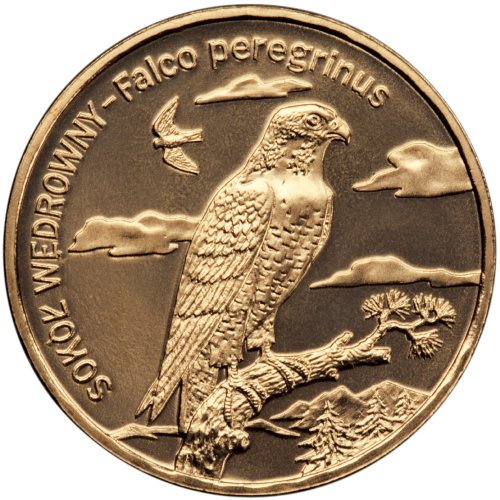 2 zł, Zwierzęta świata - Sokół wędrowny (łac. Falco peregrinus), 2008
